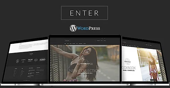 Enter WordPress Theme