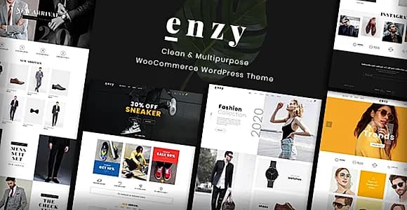 Enzy WordPress Theme