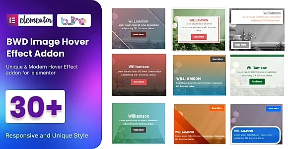 Exclusive Image Hover Effect WordPress Plugin