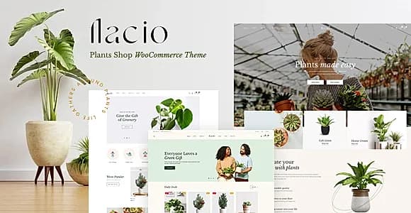 Flacio WordPress Theme