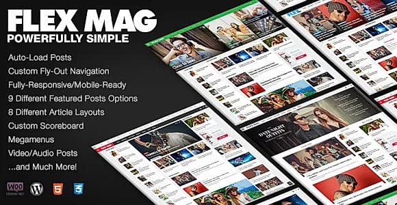 Flex Mag WordPress Theme