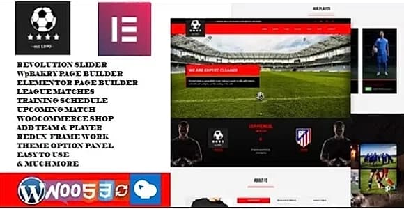 Footballclub WordPress Theme
