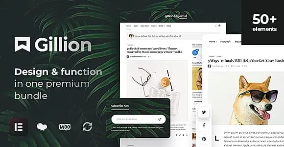 Gillion WordPress Theme