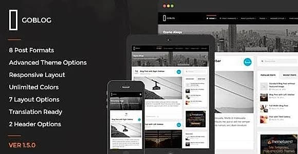 GoBlog WordPress Theme