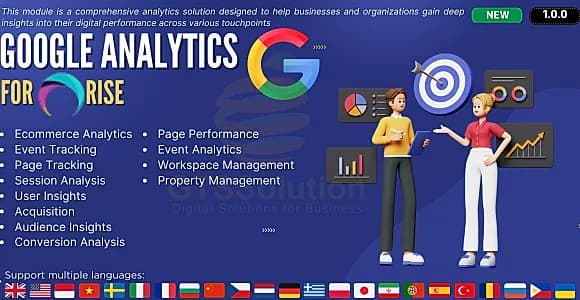 Google Analytics plugin for RISE CRM