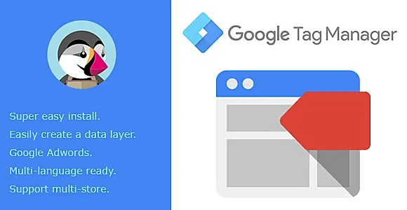Google Tag Manager Integration