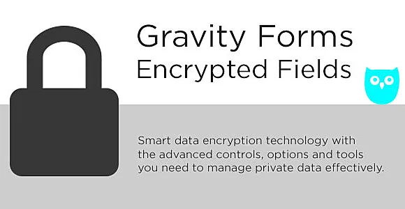 Gravity Forms Encrypted Fields WordPress Plugin