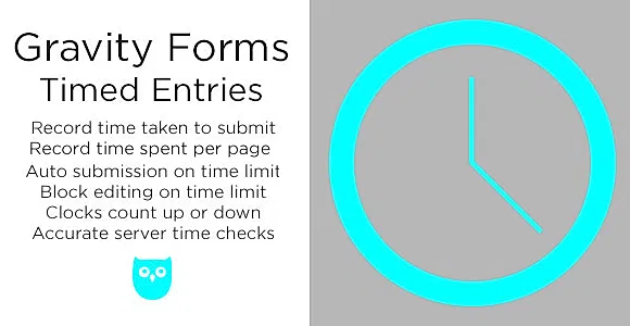 Gravity Forms Timed Entries WordPress Plugin