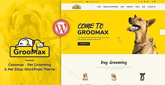 GrooMax WordPress Theme