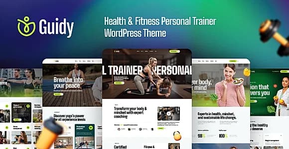 Guidy WordPress Theme