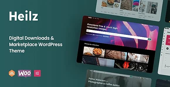 Heilz WordPress Theme