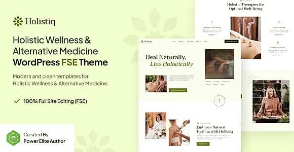 Holistiq WordPress Theme