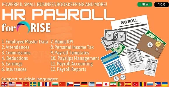 HR Payroll plugin for RISE CRM