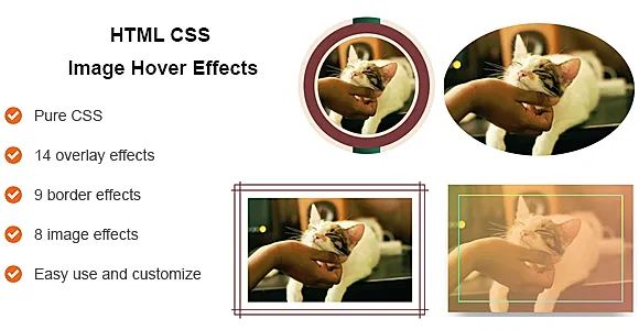 HTML CSS Image Hover Effects