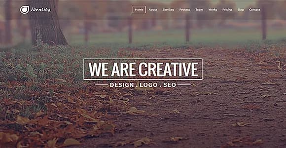 Identity - Responsive Multipurpose Template