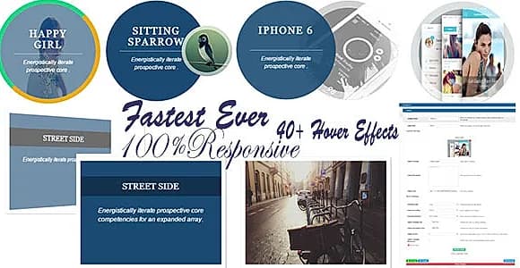 Image Hover Effects Pro WordPress Plugin