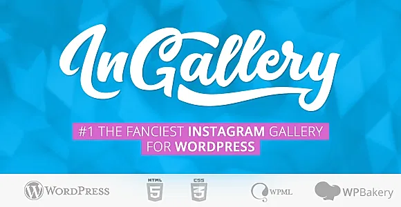 InGallery - WordPress Plugin to Display Instagram Feed