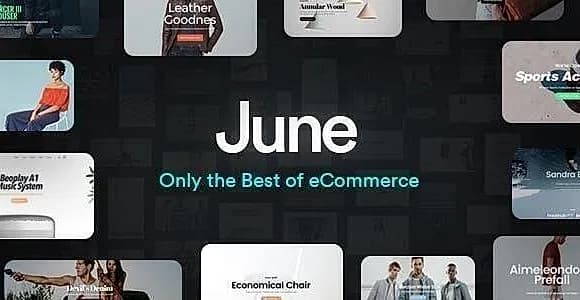 June WordPress Theme