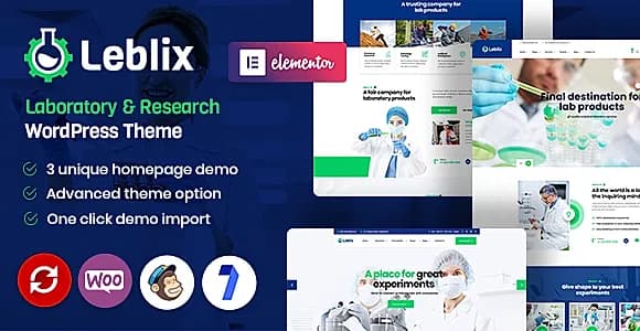 Leblix WordPress Theme