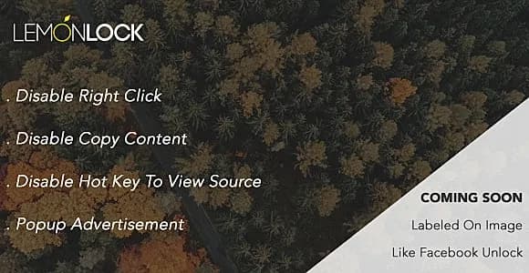 Lemon Lock Content - Advertisement Wordpress