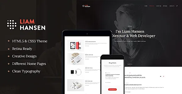 Liam Hansen WordPress Theme