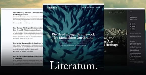 Literatum WordPress Theme