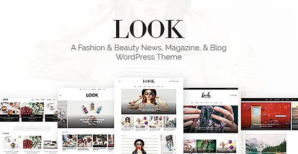 look WordPress Theme
