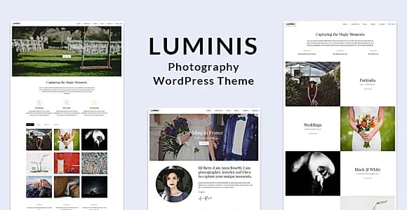 Luminis WordPress Theme