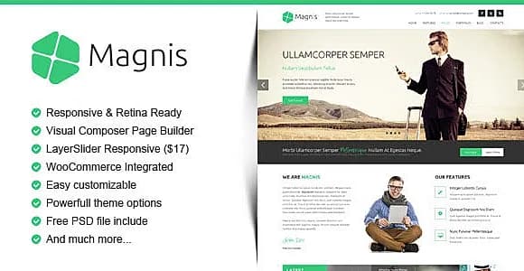Magnis WordPress Theme