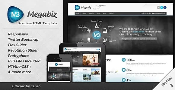 Megabiz Responsive HTML/CSS Template