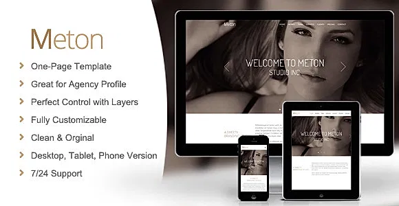 Meton - Agency Muse Template