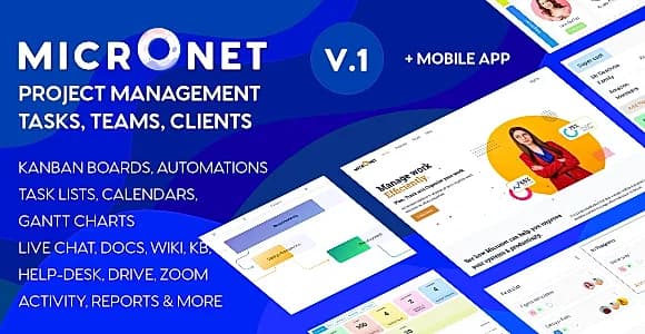 Micronet WordPress Theme