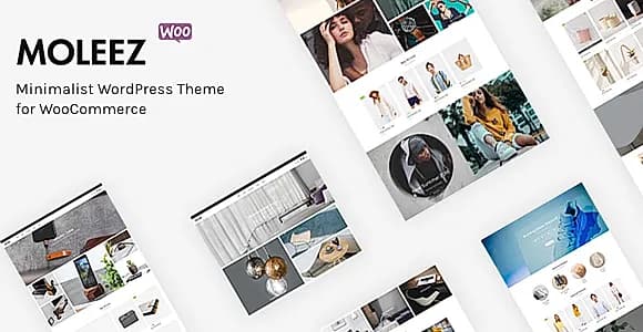 Moleez WordPress Theme