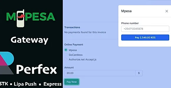 Mpesa Gateway - Perfex CRM module