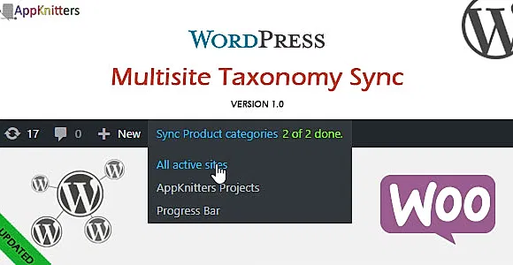 Multisite Taxonomy Sync WordPress Plugin