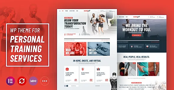 NanoFit WordPress Theme