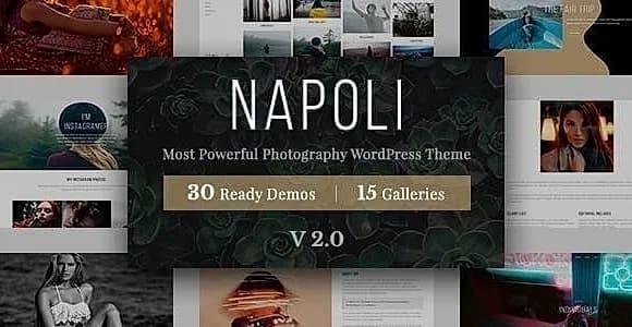 Napoli WordPress Theme