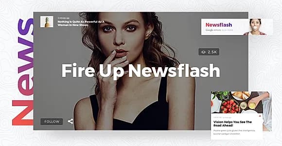 Newsflash WordPress Theme