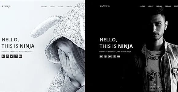Ninja - One Page Personal Portfolio Template