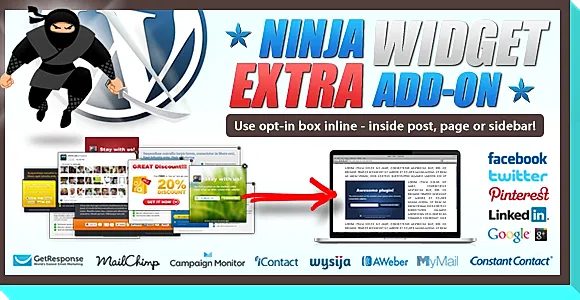 Ninja Widget Extra Add-on