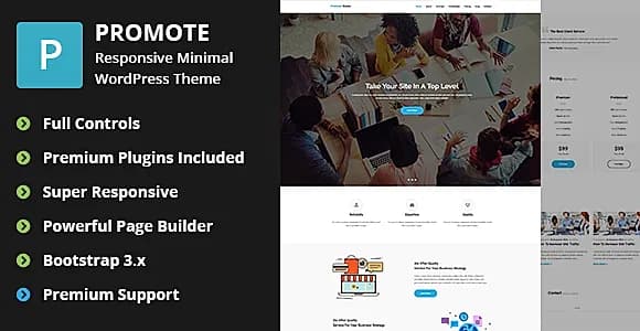 NT Promote WordPress Theme