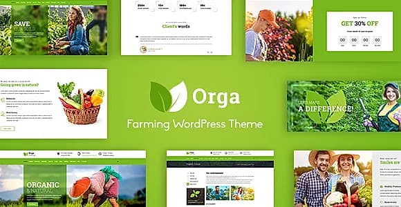 Orga WordPress Theme
