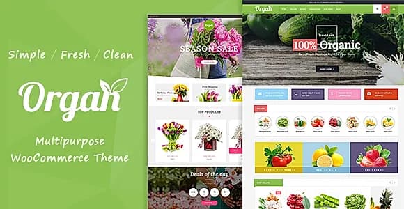 Organ WordPress Theme