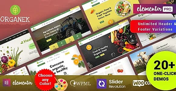 Organek WP WordPress Theme