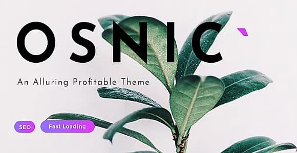 Osnic WordPress Theme