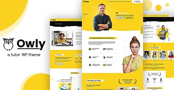 Owly WordPress Theme