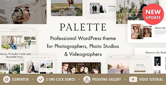 Palette WordPress Theme