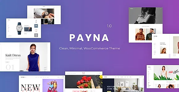 Payna WordPress Theme