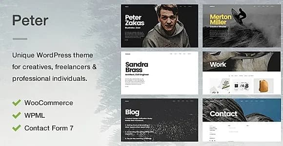 Peter WordPress Theme
