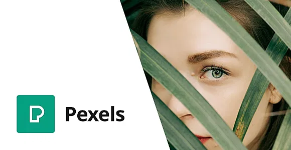 Pexels - Import Free Stock Images into WordPress